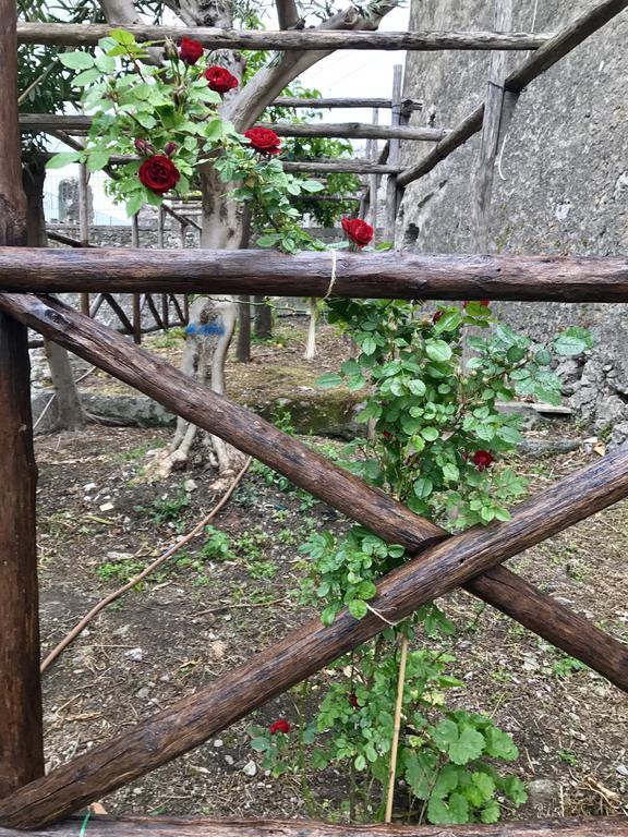 Due Porte Maiori Exterior foto